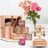 Carousel Milestone baby keepsake gift