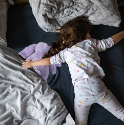 Large hush bunny sensory plush toy PURPLE