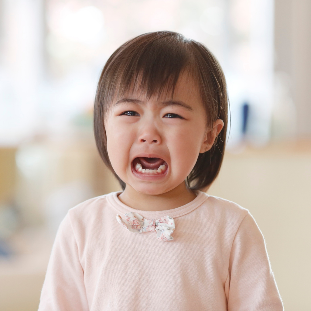 Surviving the Toddler Apocalypse: Sibling Issues, Tantrums, and Sleep Regression