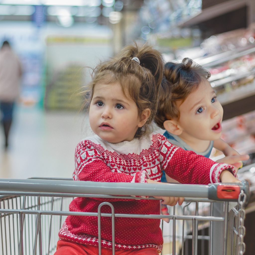 The Supermarket Trip from Hell (Featuring My Two-Year-Old Twins)