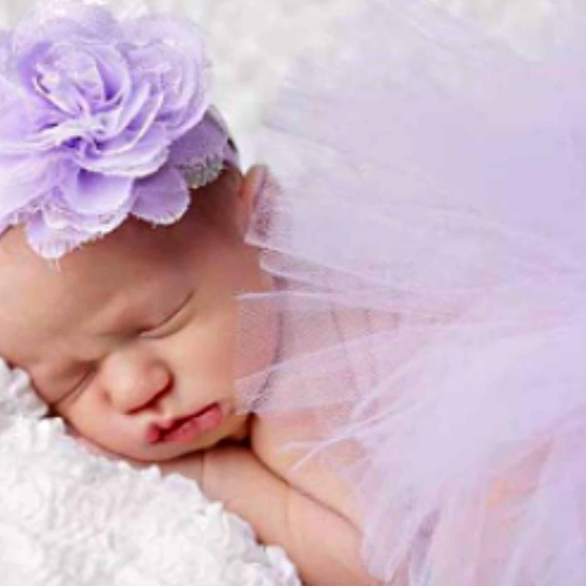 Purple Poppy baby gift bundle