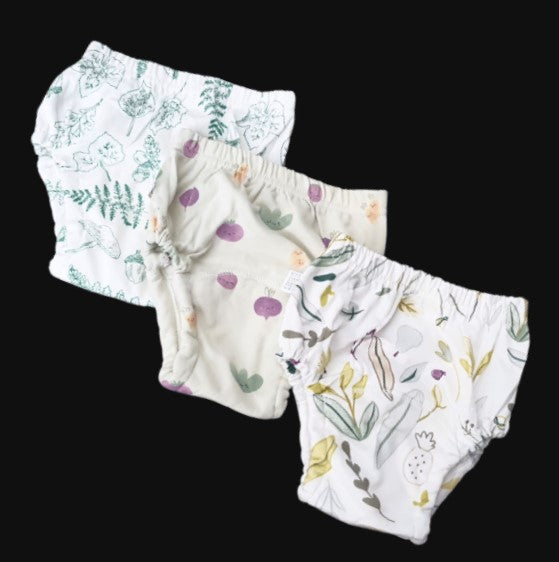 Cloth pull up toilet training pants in NATIVE FLORA (3 pack)