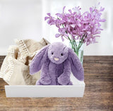 Snuggle bunny newborn gift box in PURPLE